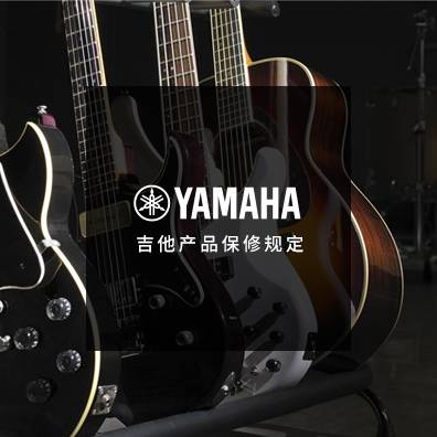 吉他、贝斯和音箱